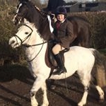 Profile Picture of Noel Kavanagh (@kavanagh7032) on Instagram