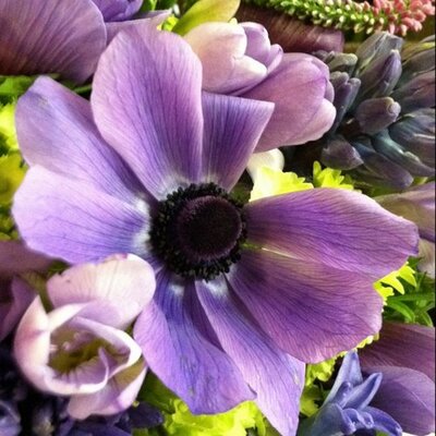 Profile Picture of David Recine (@fbdavidanthony) on Twitter