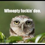 Profile Picture of Steve Quayle (@toranasteve) on Instagram