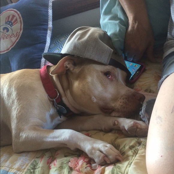 Profile Picture of Marc Barry (@biz456) on Poshmark