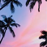 Profile Picture of Erica Viney (@erica_viney) on Instagram