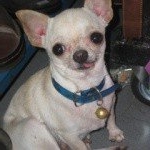 Profile Picture of Alyse (@alyseshapiro65) on Instagram