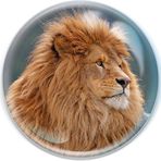 Profile Picture of Müller Tadesse (@Müller-Tadesse) on Facebook