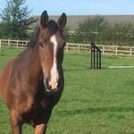 Profile Picture of Mandy Richardson (@mandyrichardson8699) on Instagram