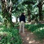 Profile Picture of Jerome Pelit (@jerome.pelit) on Facebook