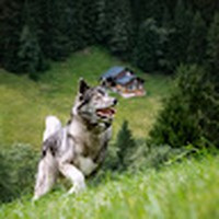 Profile Picture of Thomas Overbeek (@thomas-overbeek) on Quora