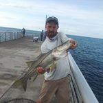 Profile Picture of Barry Todd (@barry.todd.184) on Instagram