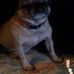 Profile Picture of Shawn Womack (@shawn.womack.902) on Facebook