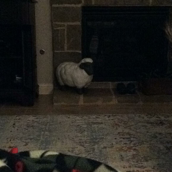 Profile Picture of Pat Mcdaniel (@pbmcdani) on Poshmark