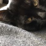 Profile Picture of Daniel Piñon Reyes (@danielpreyes1) on Instagram