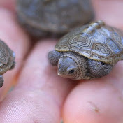 Profile Picture of Makayla Matthews (@makaylamatthews3537) on Youtube