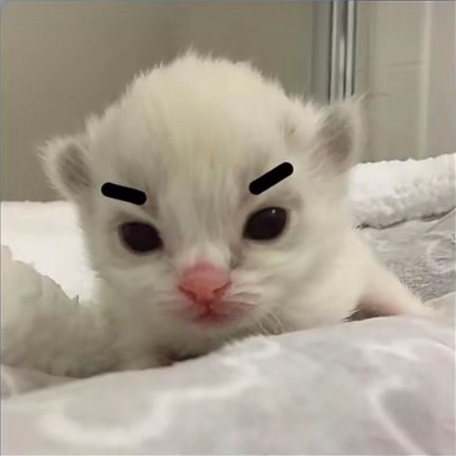 :) - Tiktok Profile Picture of :) (@kevincapalot3) on Tiktok