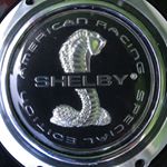 Profile Picture of Robert Panarella (@rob.panarella) on Instagram