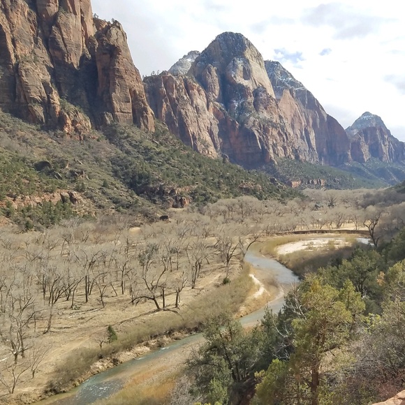 Jennifer Neiger - Poshmark Profile Picture of Jennifer Neiger (@jenniferneiger) on Poshmark