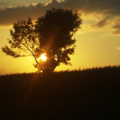 Divine - Twitter Profile Picture of Divine (@Tyler96962612) on Twitter