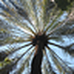 Profile Picture of Sara Peterson (@marrakechvillas) on Flickr