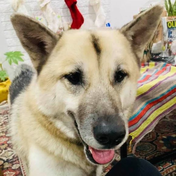 Profile Picture of Paulina Aranda (@pakanbar) on Poshmark