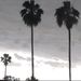 Profile Picture of Paige Panter (@paige_panter) on Pinterest