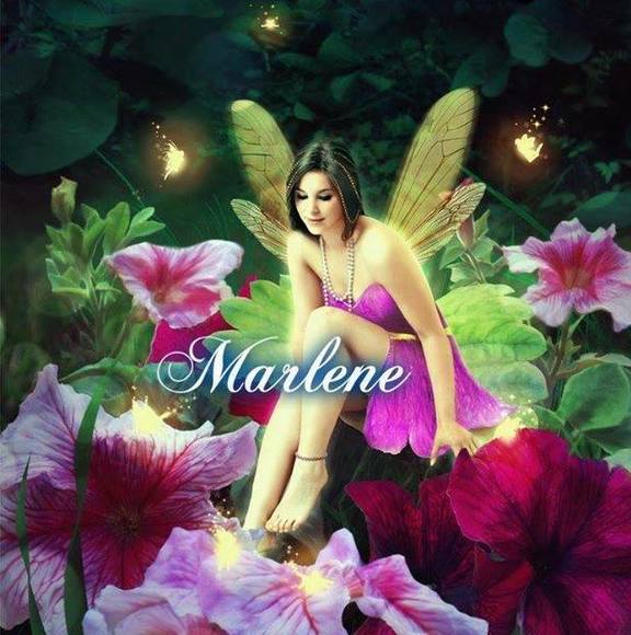 Profile Picture of Marlene Ayala (@marleneayala905) on Poshmark