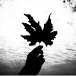 Profile Picture of محمد اسحاق || Mohammad Ishaq (@mohammad_ishaq01) on Instagram