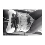 Profile Picture of Cathy Trinh (@trippinuola) on Instagram