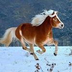 Profile Picture of Shellymountain (@sins_101) on Instagram