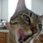 Profile Picture of Todd Kaiser (@tmkais0) on Flickr