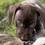 Profile Picture of Marissa Hammerstrom (@adventuring.sage.thegsp) on Instagram