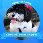 Profile Picture of Kathy Robbins (@Kathy-Robbins) on Facebook