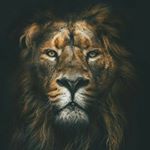 Profile Picture of Wolfe Brian (@wherearetherarris) on Instagram