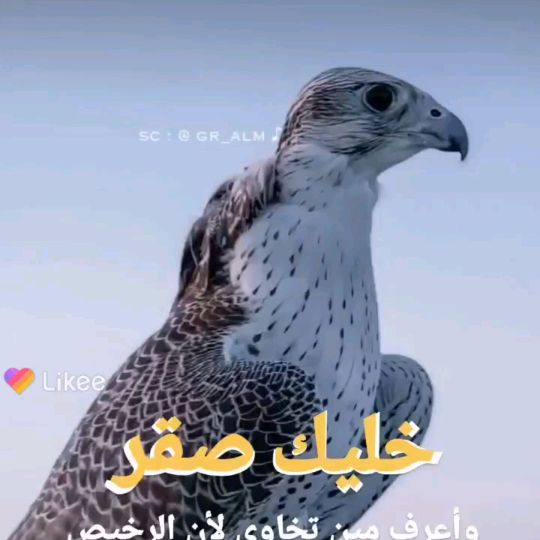 Profile Picture of Joseph Tanios (@josephtanios78) on Tiktok