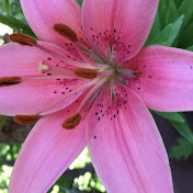 Profile Picture of KiraC. (@kirac3129) on Youtube