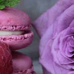 Profile Picture of Forest Burnham (@Forest-Burnham) on Facebook