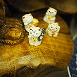 Profile Picture of Catherine_liu (@catherine_liu) on Flickr