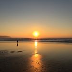Sharon Hull - Instagram Profile Picture of Sharon Hull (@hull_sha) on Instagram