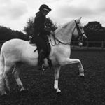Profile Picture of Katie Hawkes (@katiehawkes13) on Instagram