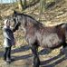 Profile Picture of Julia Froese (@julia.froese.83) on Facebook