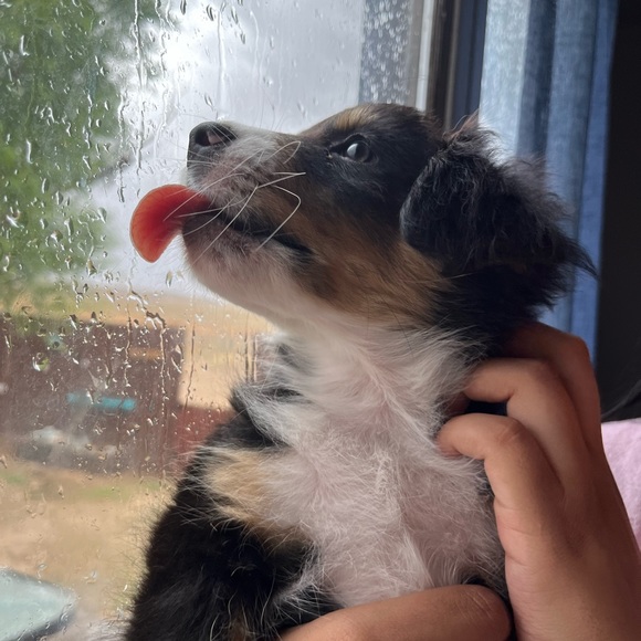 Profile Picture of Hannah Hamby (@hannahgraceh141) on Poshmark