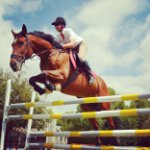 Profile Picture of Miranda Olivier (@thoroughbredbuggerlugs) on Instagram