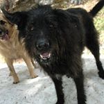 Profile Picture of James Casanova (@casanova3gun) on Instagram