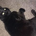 Profile Picture of Sharon Connelly (@sharon.connelly.9041) on Instagram