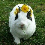 Profile Picture of Patrick25.01 (@patrick_kraemer) on Instagram