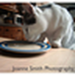 Profile Picture of Joanne Smith (@Joanne Smith) on Flickr