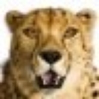 Profile Picture of Ting Tseng (@ting-tseng-1) on Quora