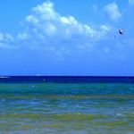 Profile Picture of lowtonrobinetu (@lowtonrobinetu) on Instagram