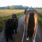 Profile Picture of Anna Johnson (@anna.cecilia1971) on Instagram