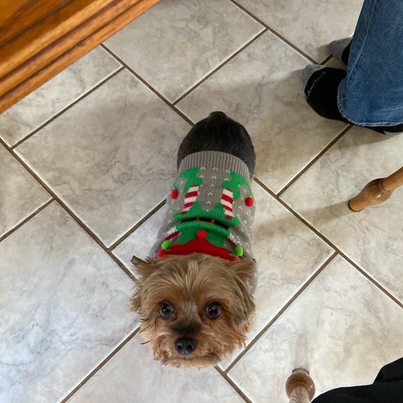 Casey Jurcsak - Poshmark Profile Picture of Casey Jurcsak (@caseyjurcsak) on Poshmark