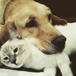 Profile Picture of Gabriella Hilario-Mata (@gabsterrushin06) on Instagram