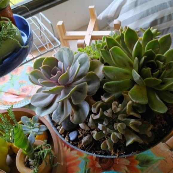 Kim Echternach - Poshmark Profile Picture of Kim Echternach (@kimechternach) on Poshmark