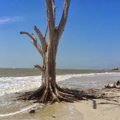 Profile Picture of Jeffrey Klein (@jeffreyklein8781) on Youtube